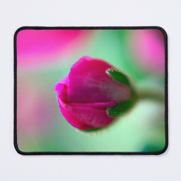 Item preview, Una designed and sold by equilibrio.
