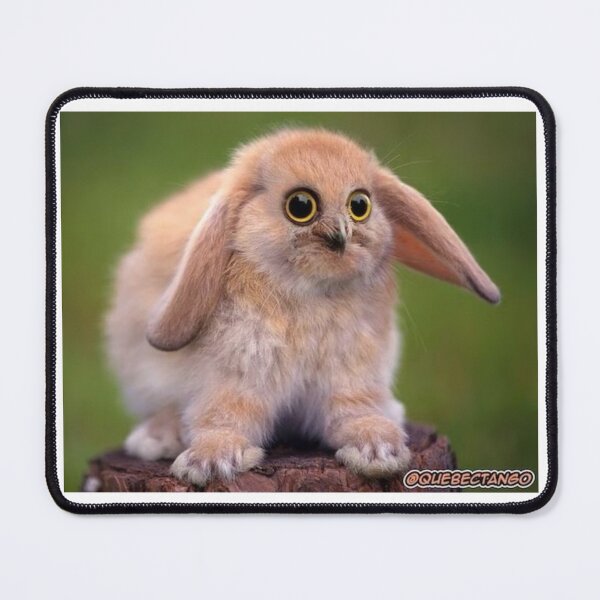 Item preview, Norbert. designed and sold by hoothootbunnybunny.