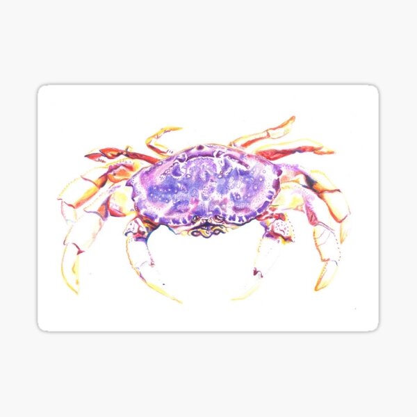 Item preview, Dungeness Crab designed and sold by Zig-art.
