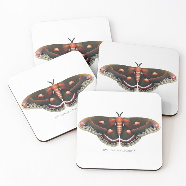 Item preview, the cecropia moth designed and sold by swiatek.