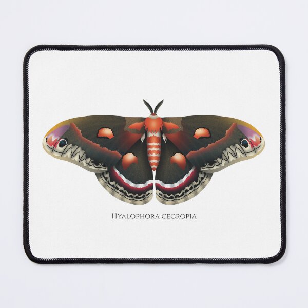 Item preview, the cecropia moth designed and sold by swiatek.