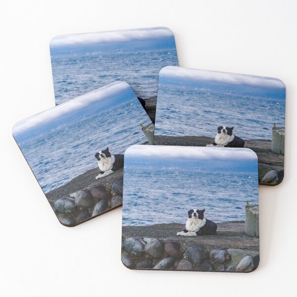 Item preview, Pet Border Collie at Lighthouse on Izu Coastline in Japan designed and sold by Pix4Japan.
