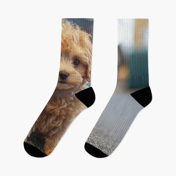 Item preview, Cute puppy exploring indoor space designed and sold by anytka.