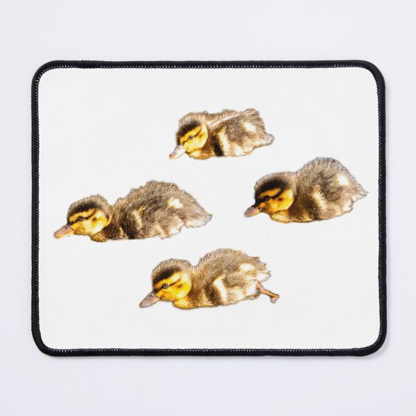 Item preview, Four little ducklings swimming.  designed and sold by CryptoLadyGabi.