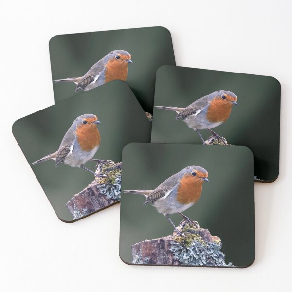 Item preview, Robin Redbreast designed and sold by Tom McPherson Photography.