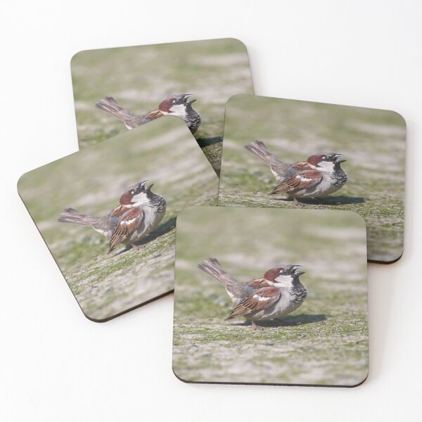 Item preview, Singing house sparrow designed and sold by GreyFeatherPhot.