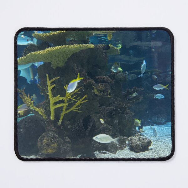 Item preview, Clear Tropical Fish View designed and sold by Colourful Wonderful.