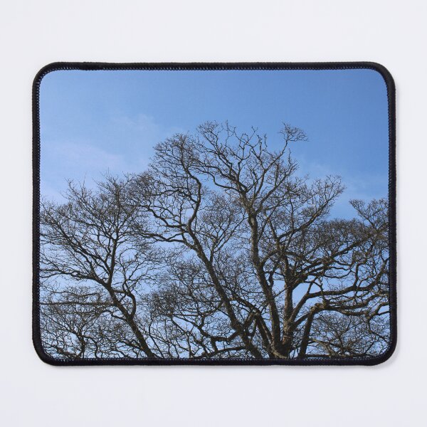 Item preview, Tree of life in the blue sky designed and sold by Colourful Wonderful.