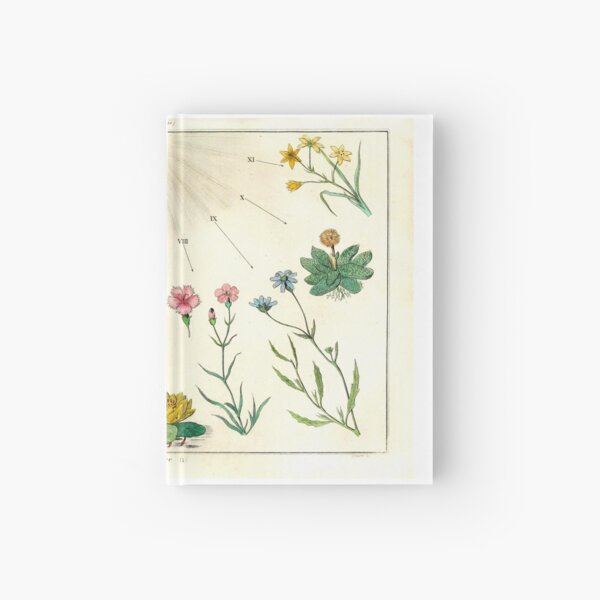 Item preview, Carl Linnaeaus's Flower Clock from "Dictionnaire Pittoresque d’Histoire Naturelle," 1836 designed and sold by mariapopova.