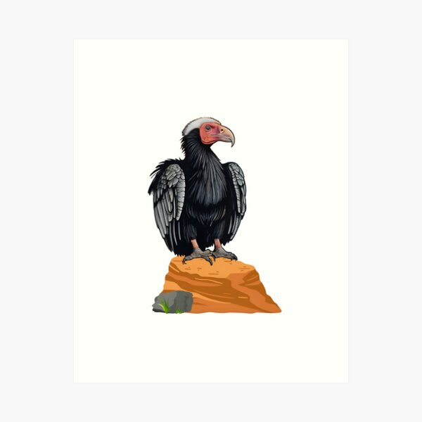 Item preview, California condor, condor, desert designed and sold by DesingScan.