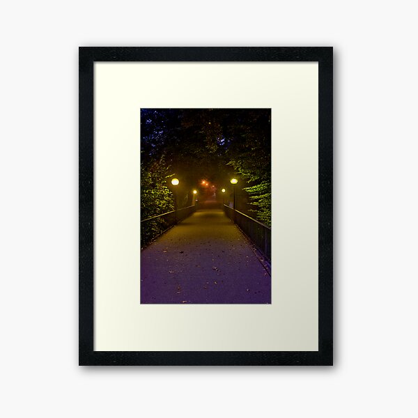 The Walkway Framed Art Print