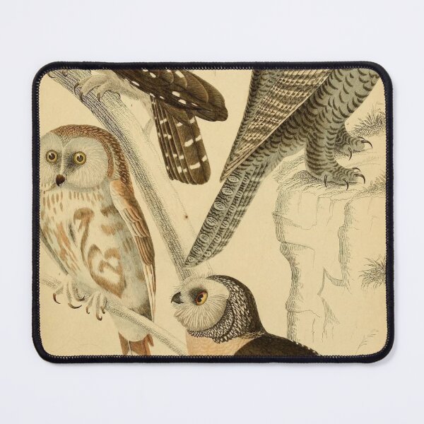 Item preview, Owl Vintage Illustrations designed and sold by CoconutArt10.