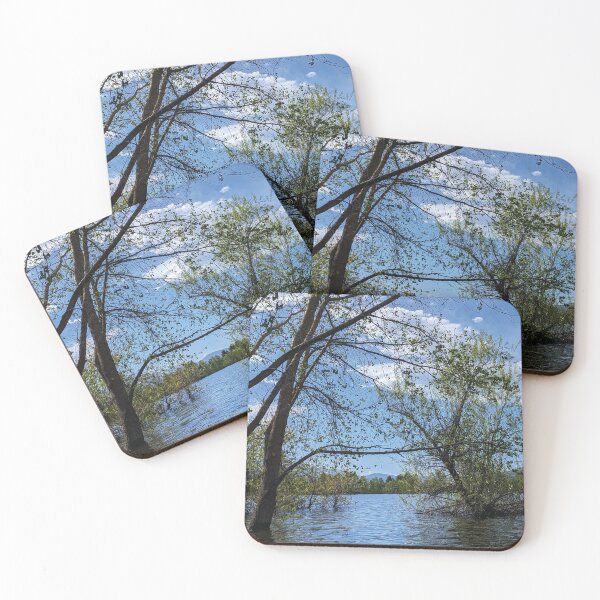 Item preview, Pineview Reservoir 2 designed and sold by Mythic Meraki .