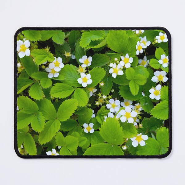 Item preview, Blooming Wild Strawberries designed and sold by bjtomiko.