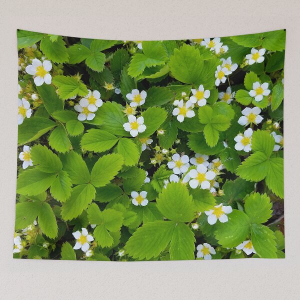 Item preview, Blooming Wild Strawberries designed and sold by bjtomiko.