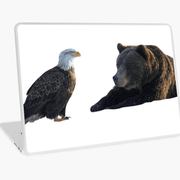 Eagle and bear Laptop Skin