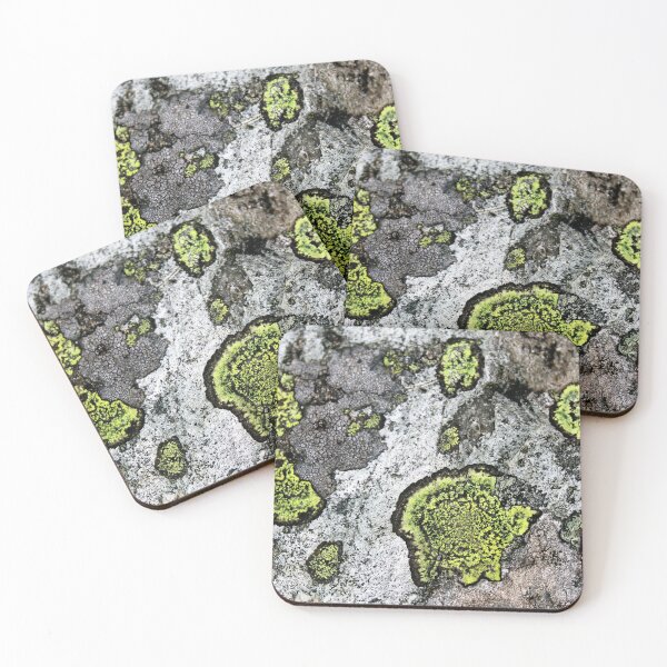 Item preview, lichen designed and sold by KathleenDawson.