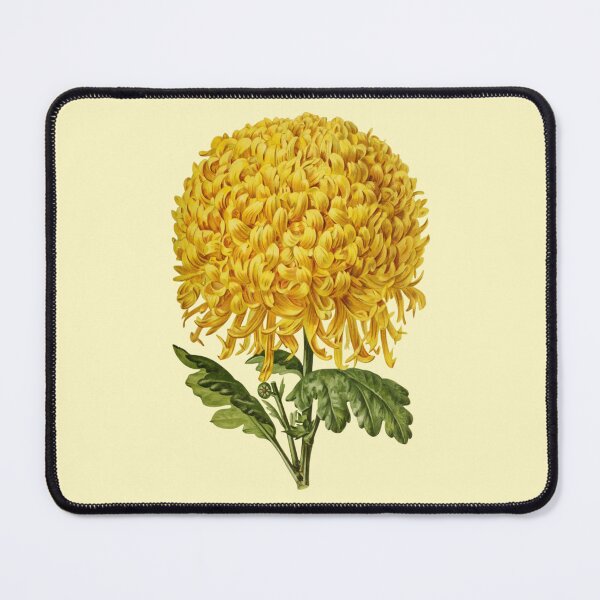 Item preview, Bright Yellow Chrysanthemum Flower  designed and sold by IrisAndIvy.