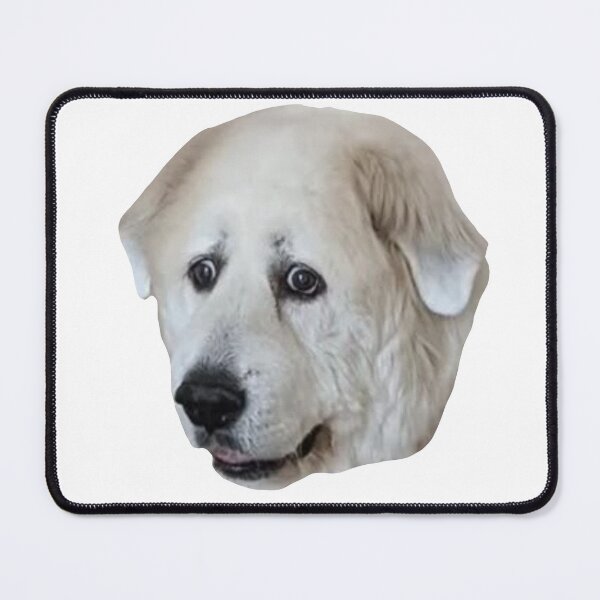 Item preview, MEME - Confused Fluffy Boi designed and sold by MetichaiTH.