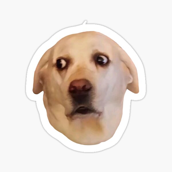 Item preview, MEME - Concerned Yellow Lab designed and sold by MetichaiTH.