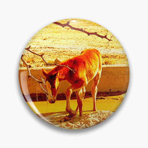 Item preview, Baby foal designed and sold by Fatboy0699.
