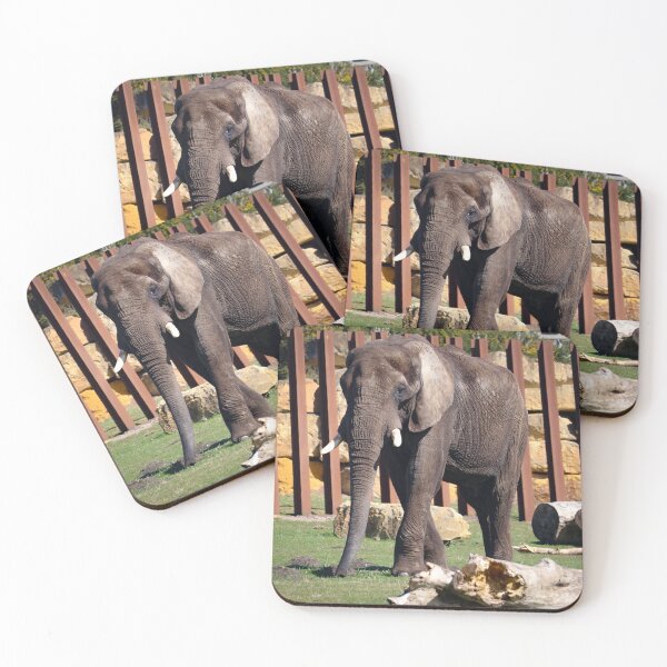 Item preview, African Elephant  designed and sold by Alan Sabatino Photography.
