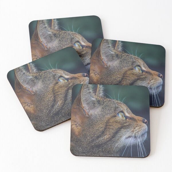 Item preview, Portrait of a Wildcat  designed and sold by Alan Sabatino Photography.