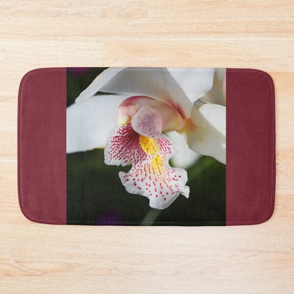 Item preview, Towards The Sun White Orchid designed and sold by Joy Watson - Natural Light Photography .