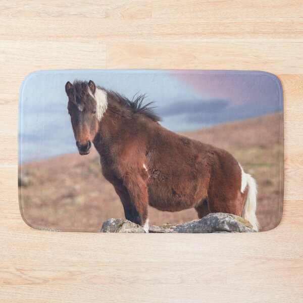 Item preview, Beautiful Dartmoor Pony by Sunset Rocks designed and sold by rawshutterbug.