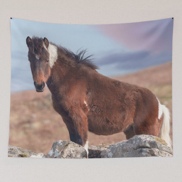 Item preview, Beautiful Dartmoor Pony by Sunset Rocks designed and sold by rawshutterbug.