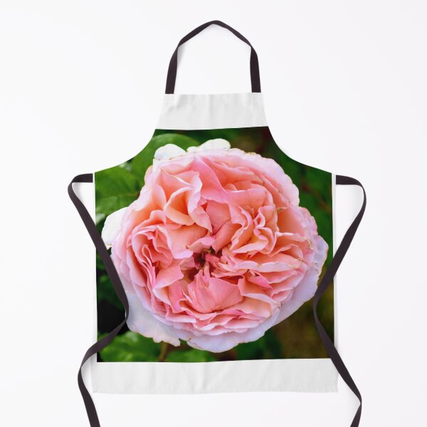 Item preview, Rosa Sangerhauser Rose designed and sold by MercerImages.