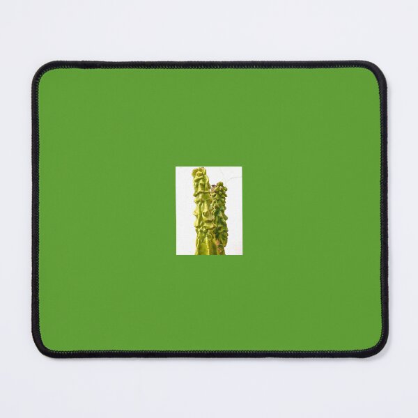 Item preview, Cactus designed and sold by Fatboy0699.