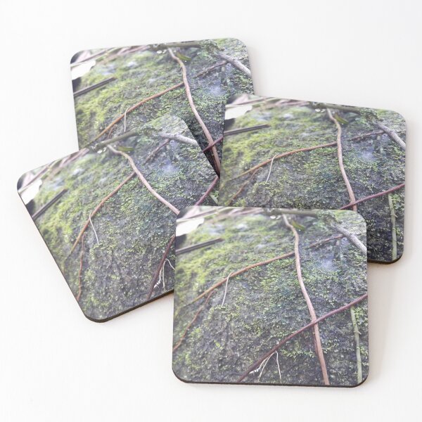 Item preview, Mossy rocks in the forest designed and sold by Yusuf-Design.