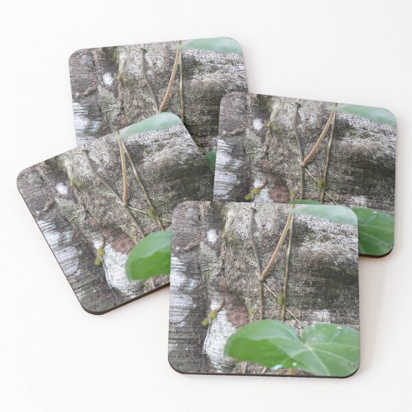 Item preview, Hard texture of trees in the forest. designed and sold by Yusuf-Design.