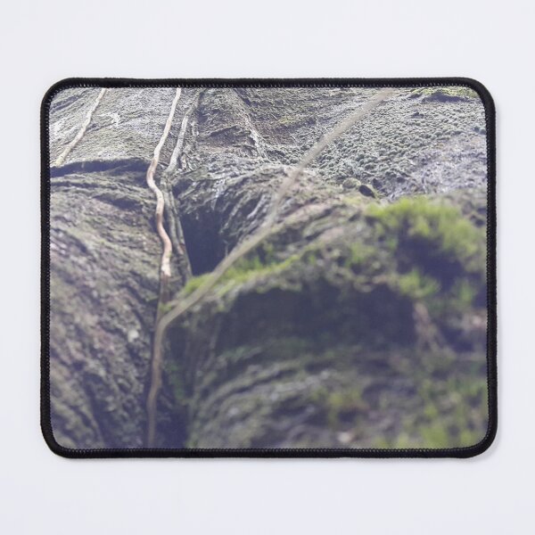 Item preview, Tree texture from a low angle designed and sold by Yusuf-Design.