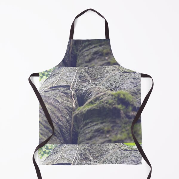 Item preview, Tree texture from a low angle designed and sold by Yusuf-Design.