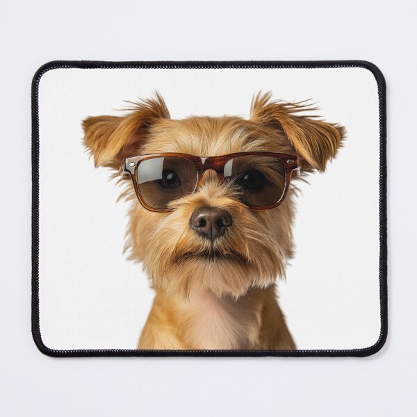 Item preview, Funny cool Norfolk Terrier Dog wearing sunglasses designed and sold by LazyOwlStore.
