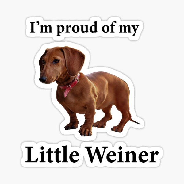 Aperçu de l'œuvre Petit chien saucisse drôle de Weiner créée et vendue par baiside.