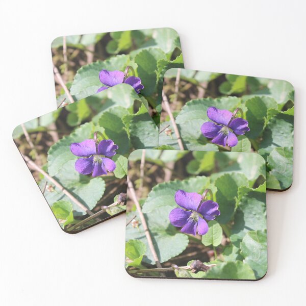 Item preview, Violet flower  designed and sold by McFleur's Lens.