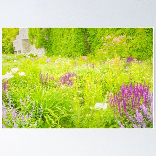 TBG's Piet Oudolf Garden Poster