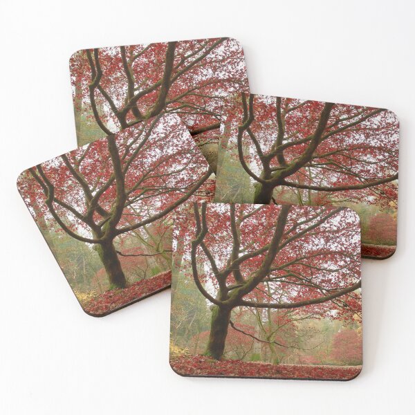 Item preview, Excellent Acer designed and sold by miradorpictures.