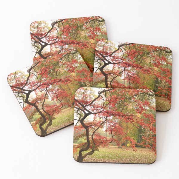 Item preview, Acer light designed and sold by miradorpictures.