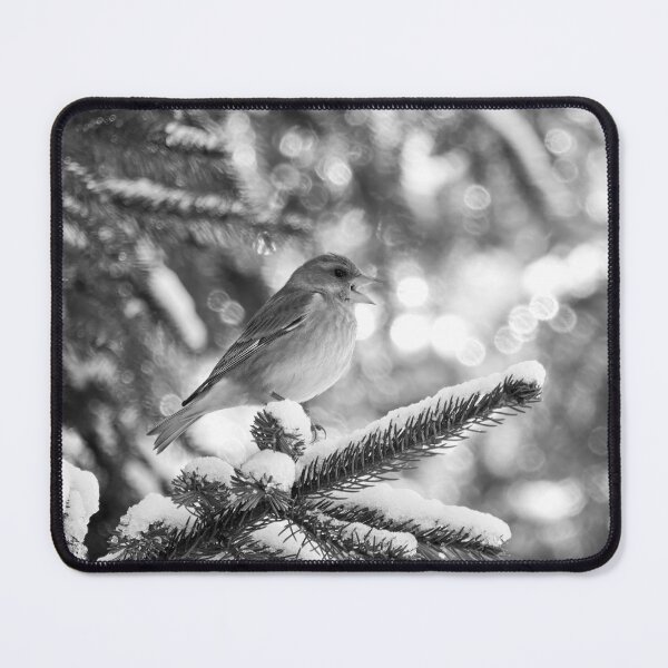 Item preview, Tweets and peeps. Greenfinch bw designed and sold by Jouko Lehto Photography.