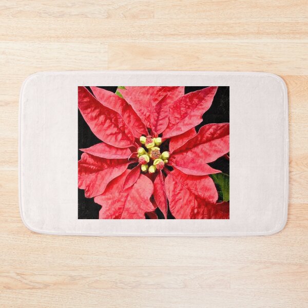 Item preview, Poinsétia - Euphorbia pulcherrima Bico de papagaio  designed and sold by Helios Be. Lavsh.