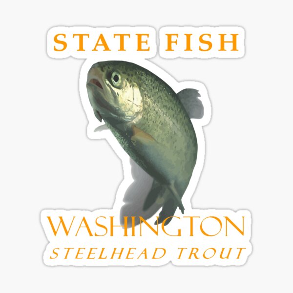 Vista previa del artículo con la obra «Pesca en el territorio de Washington La trucha arcoíris», diseñado y vendido por taiche.