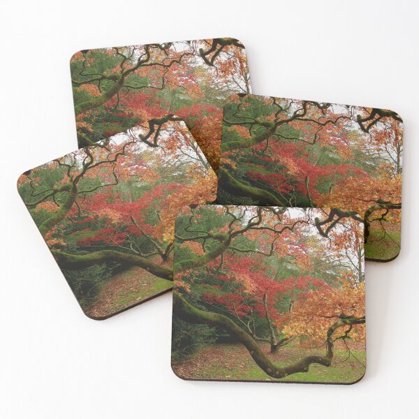 Item preview, Natures frame designed and sold by miradorpictures.