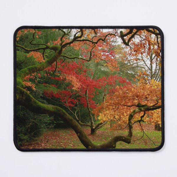 Item preview, Natures frame designed and sold by miradorpictures.