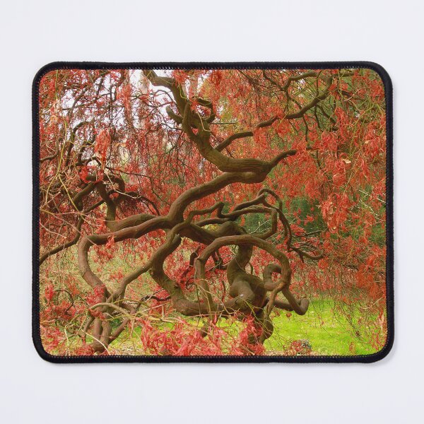 Item preview, Spaghetti branch designed and sold by miradorpictures.