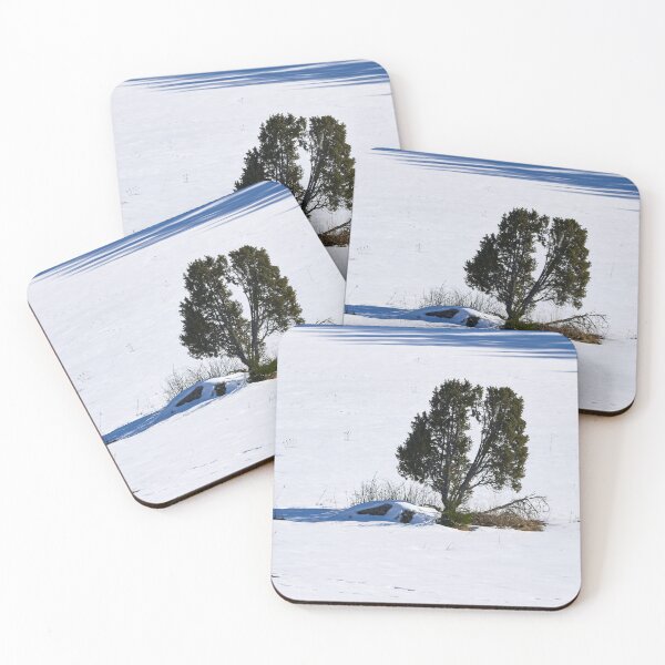 Item preview, Juniper of the white field designed and sold by Jouko Lehto Photography.