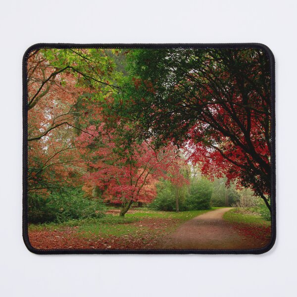 Item preview, Highway to fall designed and sold by miradorpictures.
